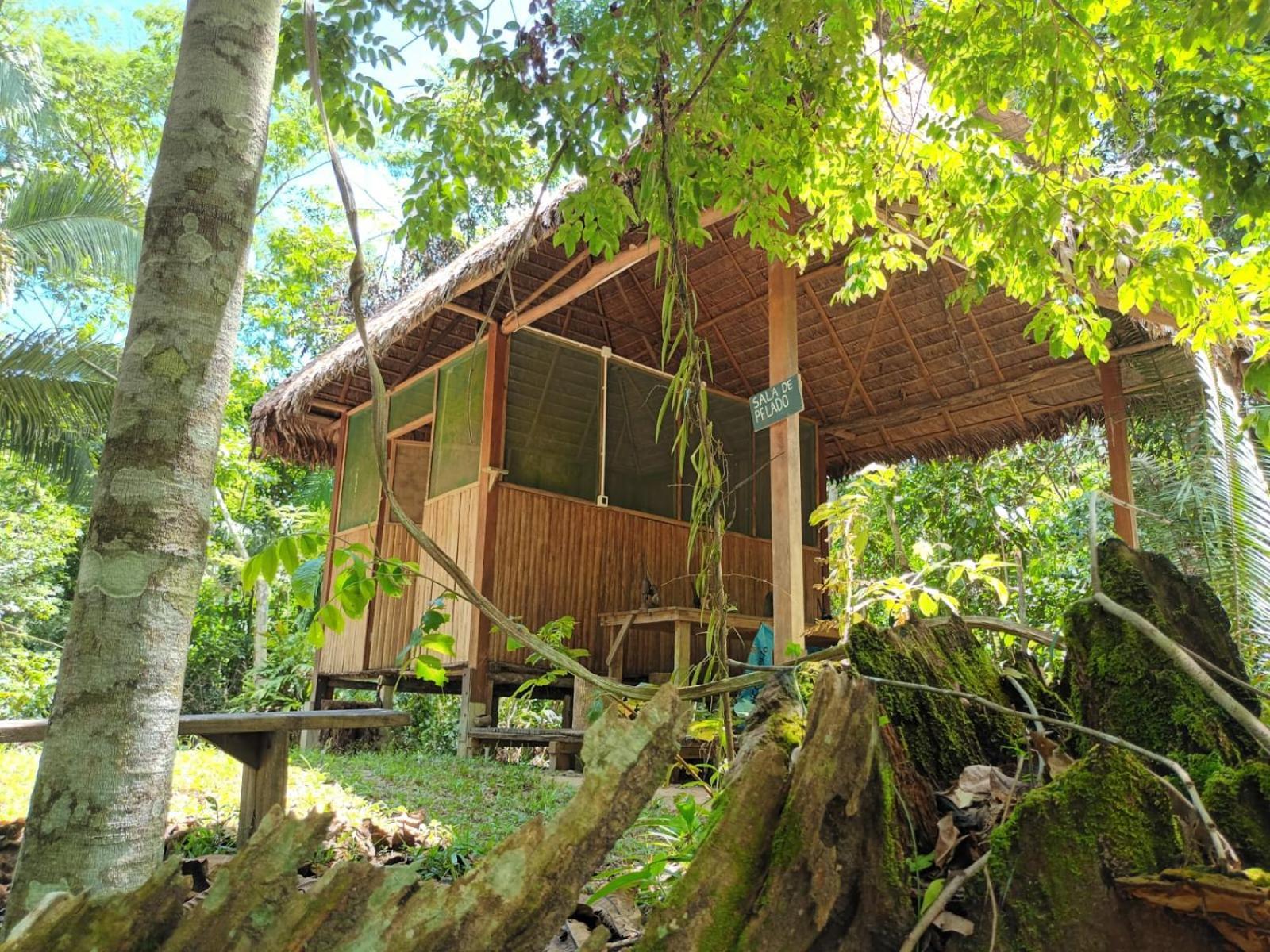 Hostel Castana Amazon Park Puerto Maldonado Exteriér fotografie