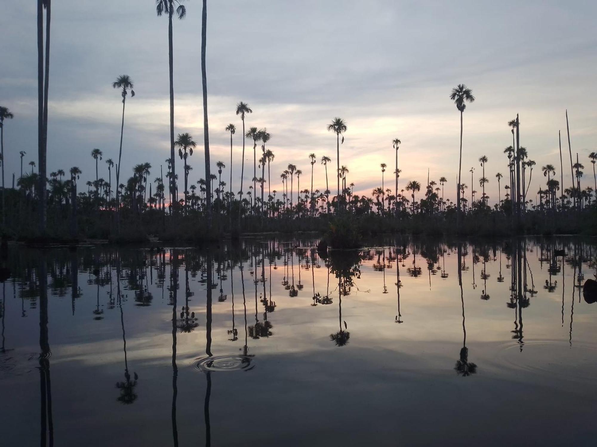 Hostel Castana Amazon Park Puerto Maldonado Exteriér fotografie