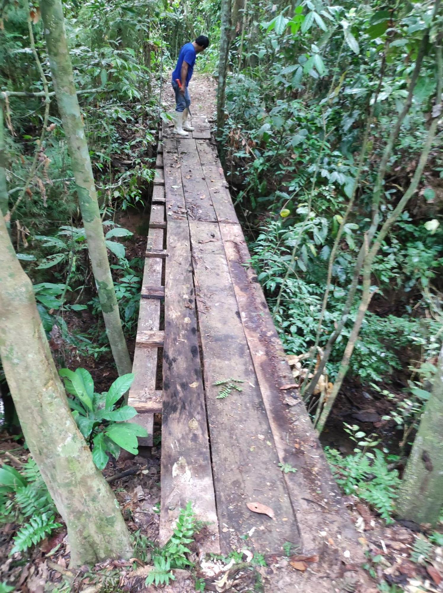 Hostel Castana Amazon Park Puerto Maldonado Exteriér fotografie
